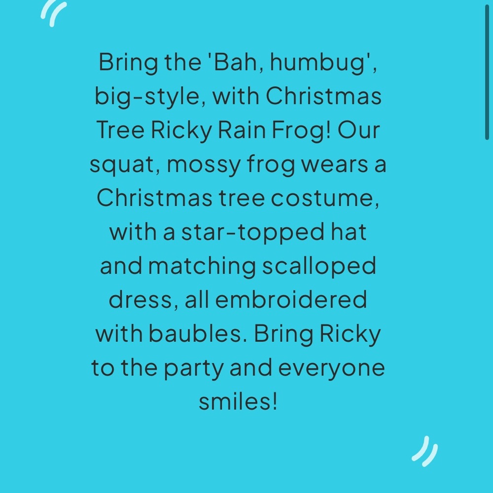 🎄 Christmas Tree Ricky Rain Frog - Picture 6 of 7